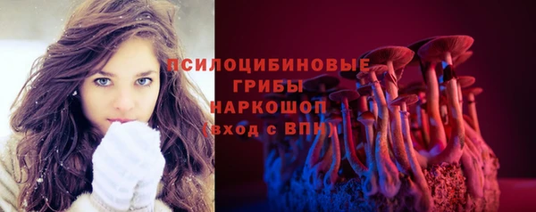 МДПВ Нягань