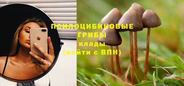 ПСИЛОЦИБИНОВЫЕ ГРИБЫ Няндома