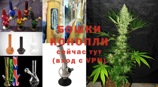 ПСИЛОЦИБИНОВЫЕ ГРИБЫ Няндома