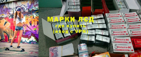 ПСИЛОЦИБИНОВЫЕ ГРИБЫ Няндома