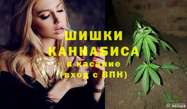 ПСИЛОЦИБИНОВЫЕ ГРИБЫ Няндома