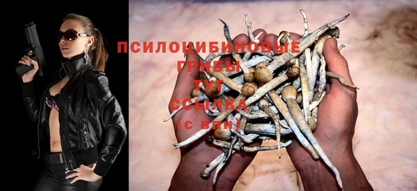 дурь Железноводск