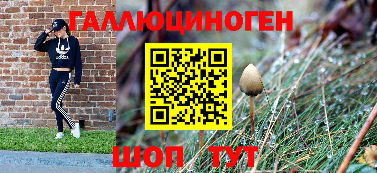 Галлюциногенные грибы Cubensis Кириши