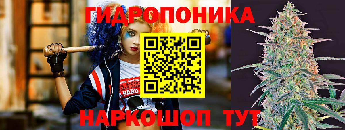 Бошки Шишки марихуана  Бошки Шишки марихуана  Бошки Шишки марихуана  Кириши 