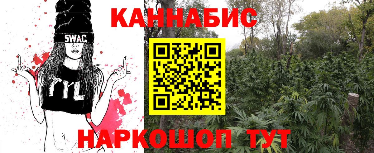 Бошки марихуана конопля Кириши